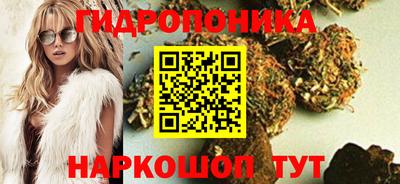 прущие грибы Железногорск