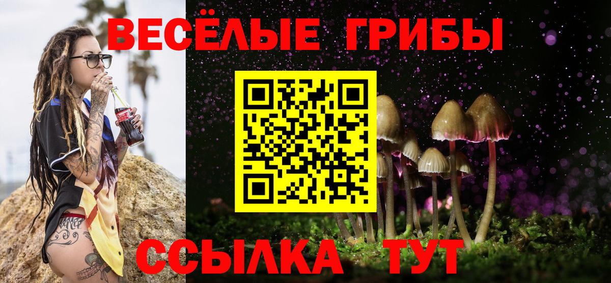 Галлюциногенные грибы MAGIC MUSHROOMS  где продают   Боровичи  Вход с VPN  Галлюциногенные грибы мухоморы 